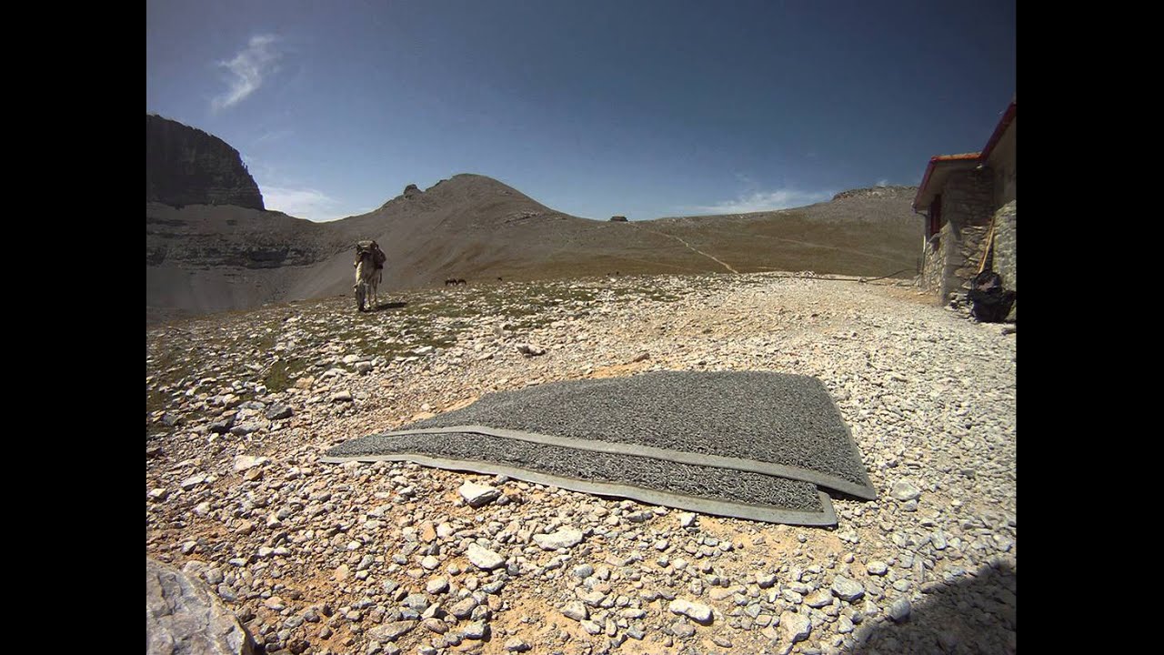 Mules on the Plateau of the Muses