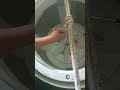 Using Rope To Remove Jammed Washing Machine Pulsator Shorts