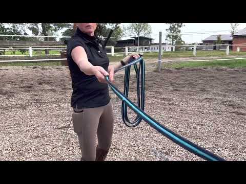 Handhabung der Longe beim Handwechsel