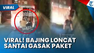 Viral! Bajing Loncat Santai Gasak Paket dari Mobil Boks di Cilincing, Polisi Buru Para Pelaku
