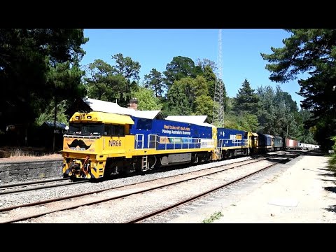 Pacific National  through the Adelaide Hills featuring NR66 'Moustache for Movember' 27 Jan 2023