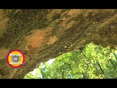 Natura in Obiectiv - Vascauti.mpg