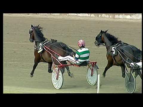 Napoli Trotto 30/05/2021 - 8ª corsa