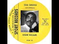 Andre Williams - Soul Groove