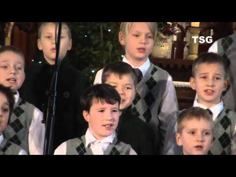 Jõulumees Tulla Võib