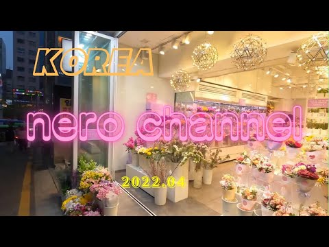 Caminhada de Gangnam em Seul, Coreia do Sul