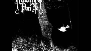 Howling Pain -  Schatten Aus Der alexander Welt (Bethlehem Cover)