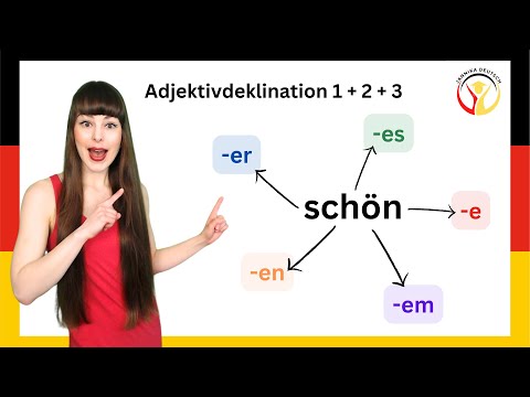 Adjective declension with the, a, and without articles #learngerman #learngerman #germancourse