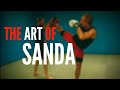 THE ART OF SANDA | Kicking - Throwing - Sweeping