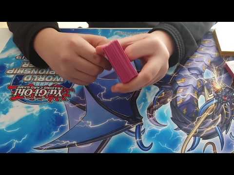 *TOP 8* Paleozoic Yugioh Deck Profile | DonatFX