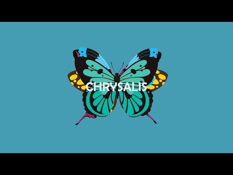 Xevi Alarcón - Chrysalis (Lyric video)