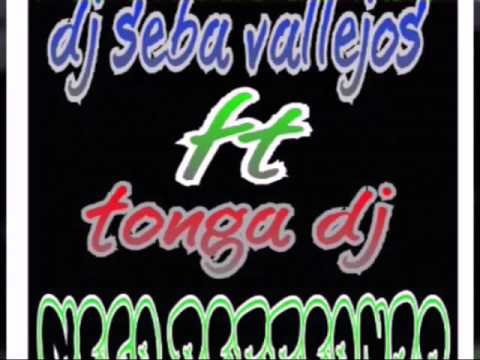 MEGA PERREANDO - TONGA DJ FT DJ SEBA VALLEJOS