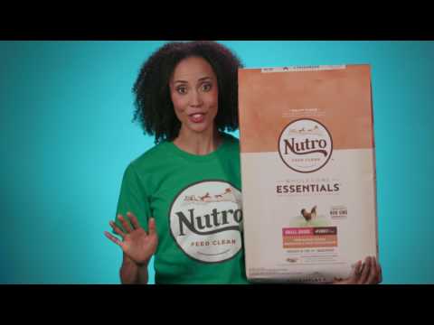 NUTRO Wholesome Essentials Dry Dog Food