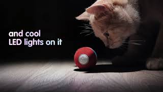 Cheerble Ball: Interactive Toy for Cats