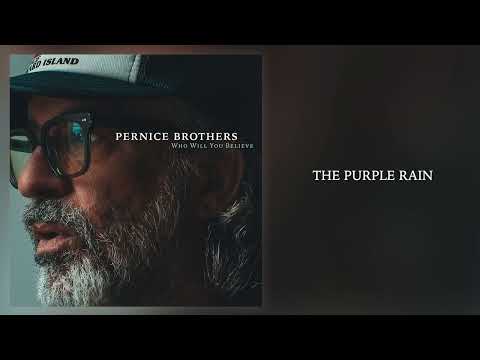 The Purple Rain - Pernice Brothers
