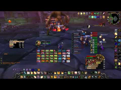 Loatheb | WoW Classic Anniversary | Holy Paladin PoV