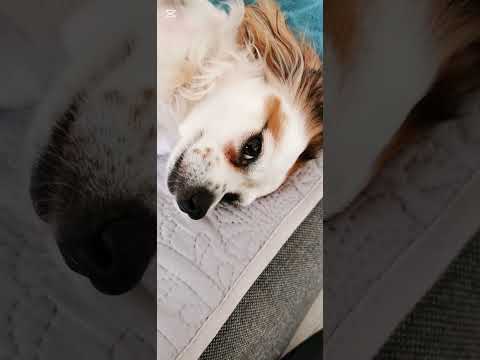 Владимир Ланчев - To The Mountain Top