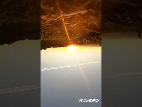 cover Yanis Hamoumen • Fateh Aloune et Lamine Lounici