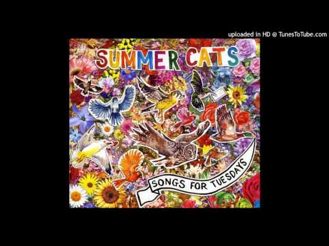 Summer Cats - Wild Rice