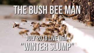The Bush Bee Man Monthly Live Q&A - July "Winter Slump"