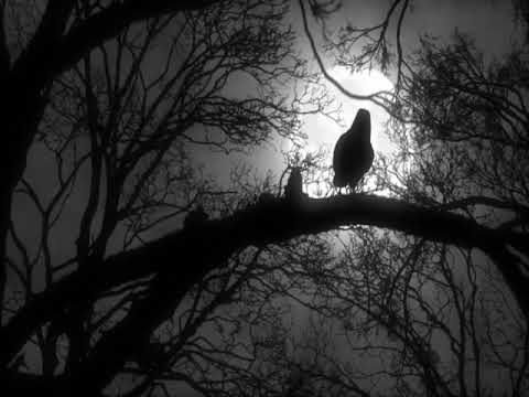 Goatmoon : Eclipsed by Raven Wings