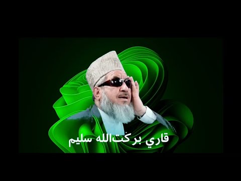 Beautiful Recitation of Surah Al-Rahman | Qari Barakatullah Saleem