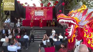Multitudinaria celebración en el barrio chino de la capital argentina