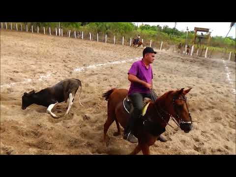 melhores momentos da tradicional vaquejada do parque são Francisco em nina Rodrigues MA