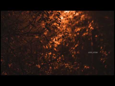 September (Instrumental) - Sparky Deathcap (Reverbed & Slowed)