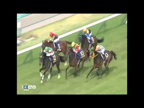 2016.04.10 Oka Sho (Japanese 1000 Guineas) - Jeweler