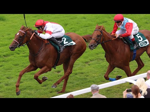 Hamburg: WETTSTAR.de - Grosser Hansa-Preis 2024 Sieger: Lordano