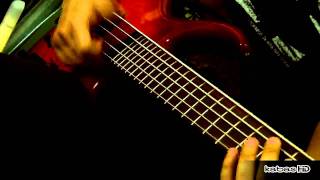 Djavan & Lee Ritenour - Asa (bass cover)
