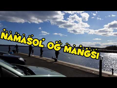 Car trip to Ronneby Pantalan