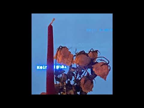 dnb x pink katana x pashanim type beat - "kein signal" (prod. darius)