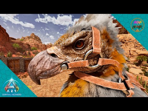 ПОЧТИ ТОП АРГЕНТЫ НА КАРТЕ VALGUERO ARK ASCENDED