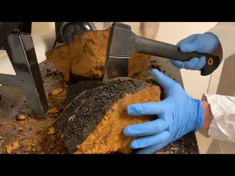 How it's Made - Chaga Tea by Birch Boys, Inc. (Inonotus obliquus)