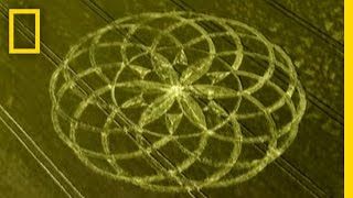 Crop Circle Mystery | National Geographic