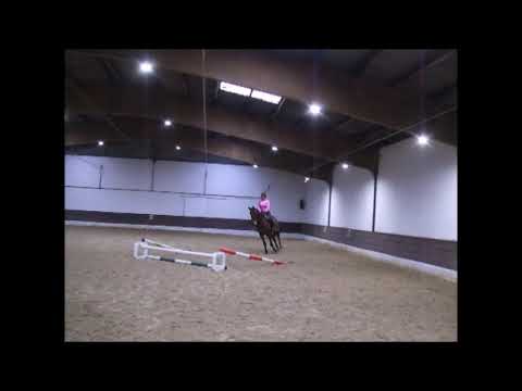 GRAFIX 6j. v. Graf Top Bold Indian xx VB 12.000,- Euro