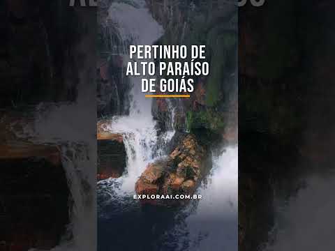 Chapada dos Veadeiros: poços de água cristalina 💚 #Shorts