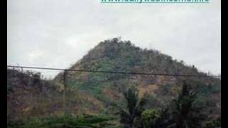 Lauren Haynes - Lauren Haynes and Phil Coulter reached the Eurovision final.