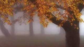 Cirkels -- Herman van Veen