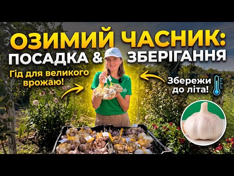 Приклад відео 1