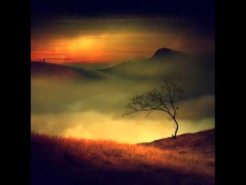 Aaron Sontag & Nica Brooke - Inner Peace (Cates&dpL Growlin Tech Dub)