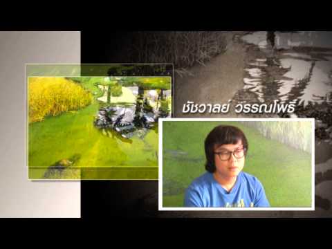 รายการ Daradaily Art Show ชัชวาลย์ วรรณโพธิ์ On Air 25/02/57 P.2/4