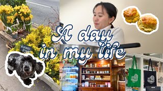 32》ロンドン休日vlog🇬🇧スコーン作り🥯カフェさんぽ☕️