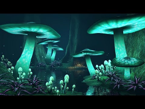 Into an Enchanting Forest || Magical Celtic Music @432Hz || Mystical Forest Sounds