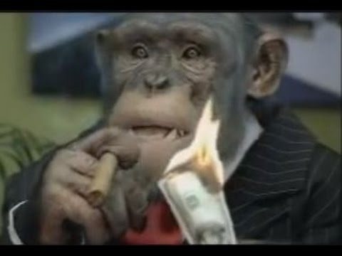 CareerBuilder.com: Monkey Business (full compilation)