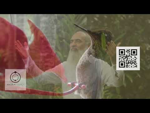 44 - Pedido - Hinário O Caminho do Coração