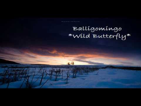 Balligomingo *Wild Butterfly*