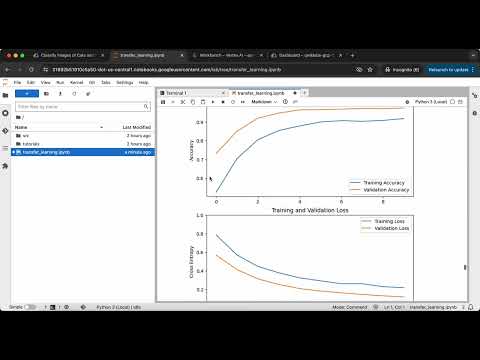 Create Text Embeddings for a Vector Store using LangChain GSP1233